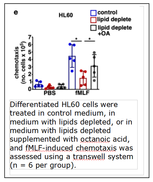 bsg_bsg_Cleanascite™ Employed to Determine Role of Lipids in Neutrophil Trafficking to Infection Sites